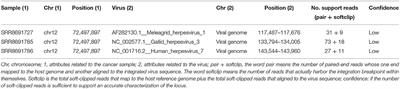 A First NGS Investigation Suggests No Association Between Viruses and Canine Cancers